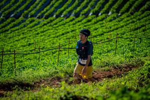 BIB: 194
                            <button type="button" onclick="openModal(19160982)" class="btn btn-primary btn-sm float-right btn-popup" data-toggle="modal" data-target=".modal-high-quality">
                        <i class="fas fa-shopping-cart"></i> Add to Cart
                    </button>
                                            <button type="button" onclick="isThisMe(19160982, true)" class="btn btn-success btn-sm float-right btn-popup btn-isme hidden" data-toggle="tooltip" data-placement="bottom" title="นี่คือรูปของคุณใช่ไหม คลิกที่นี่เพื่อเอาเข้าอัลบั้ม">
                        <i class="fas fa-plus"></i> Add to album
                    </button>
                    <button type="button" onclick="isThisMe(19160982, false)" class="btn btn-warning btn-sm float-right btn-popup btn-isnotme hidden">
                        <i class="fas fa-ban"></i> Remove from album
                    </button>